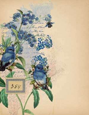 blue flowers and birds collage