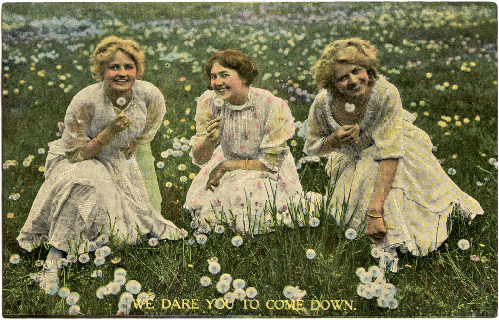 vintage ladies dandelions photo clipart