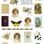 vintage bee ephemera digital image bundle