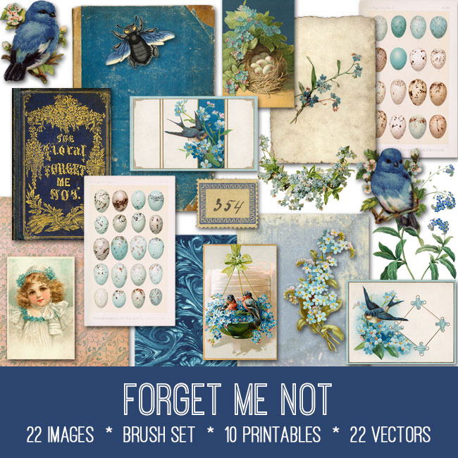 forget me not ephemera vintage images