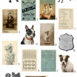 vintage Le Chien Dogs ephemera digital image bundle