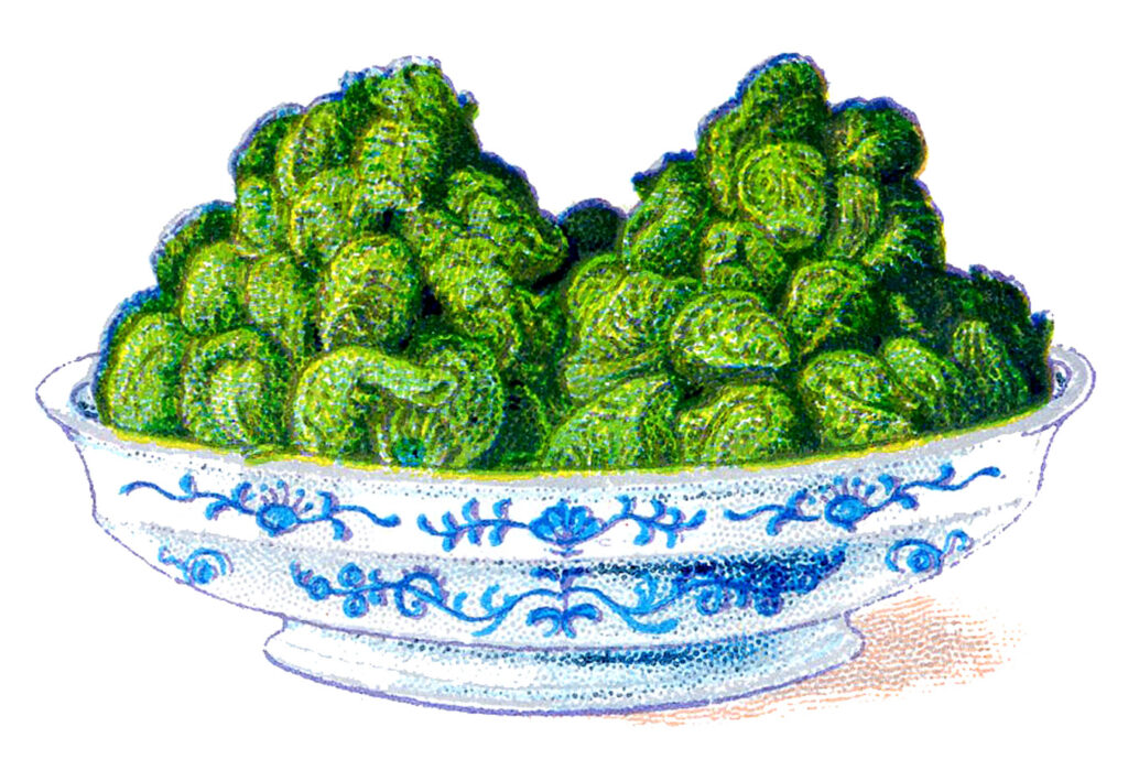 serving bowl brussels sprouts image