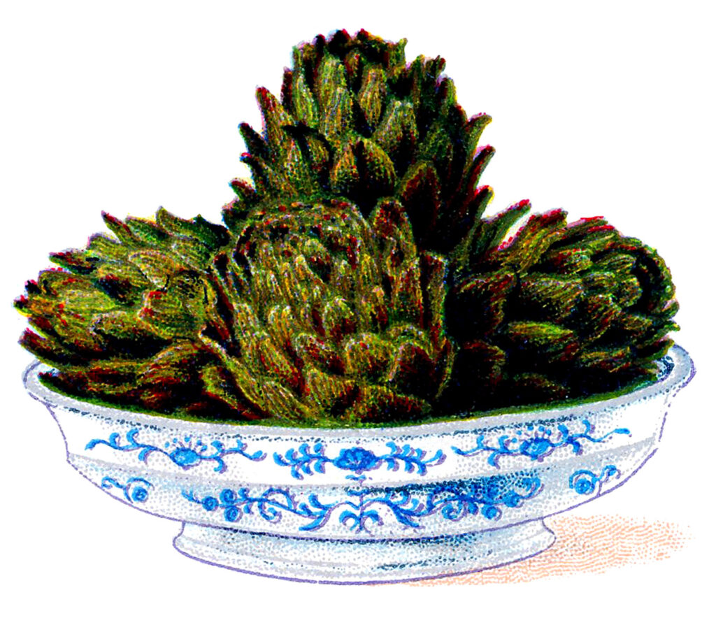 vintage bowl artichokes illustration