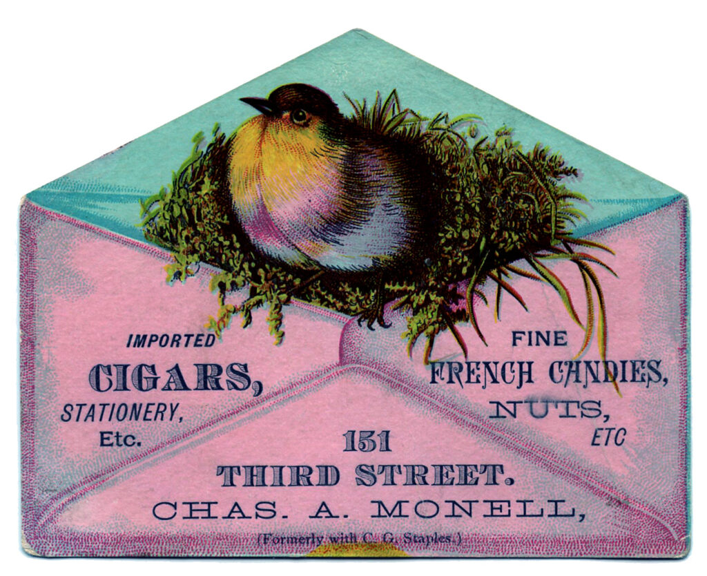 bird envelope advertising image