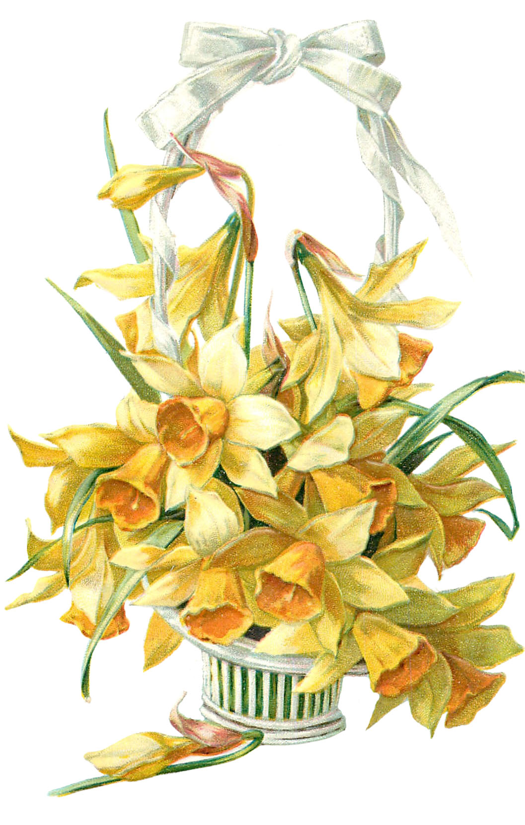 Daffodil Basket Picture