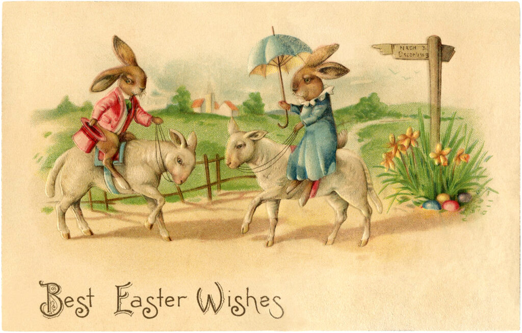 Easter card bunnies riding lambs illustration
