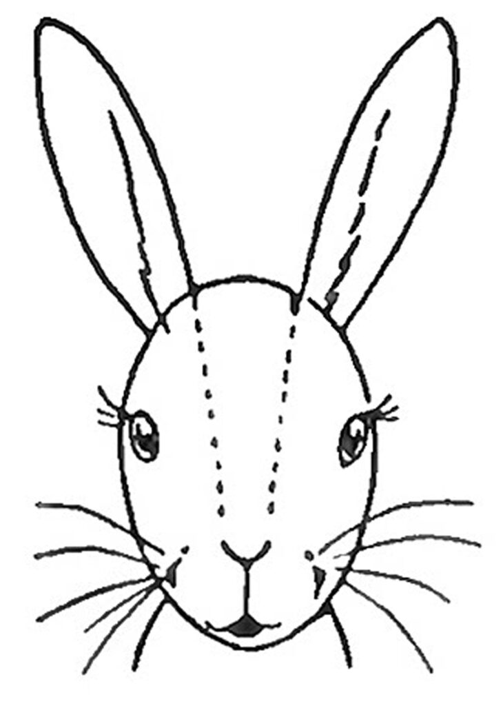 bunny face illustration