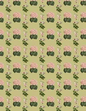 Background pattern secret garden themed collage with flowers