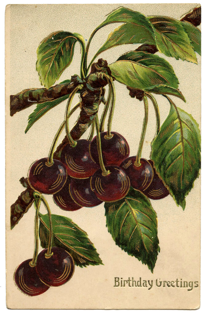 Black Cherries Fruit Birthday Image