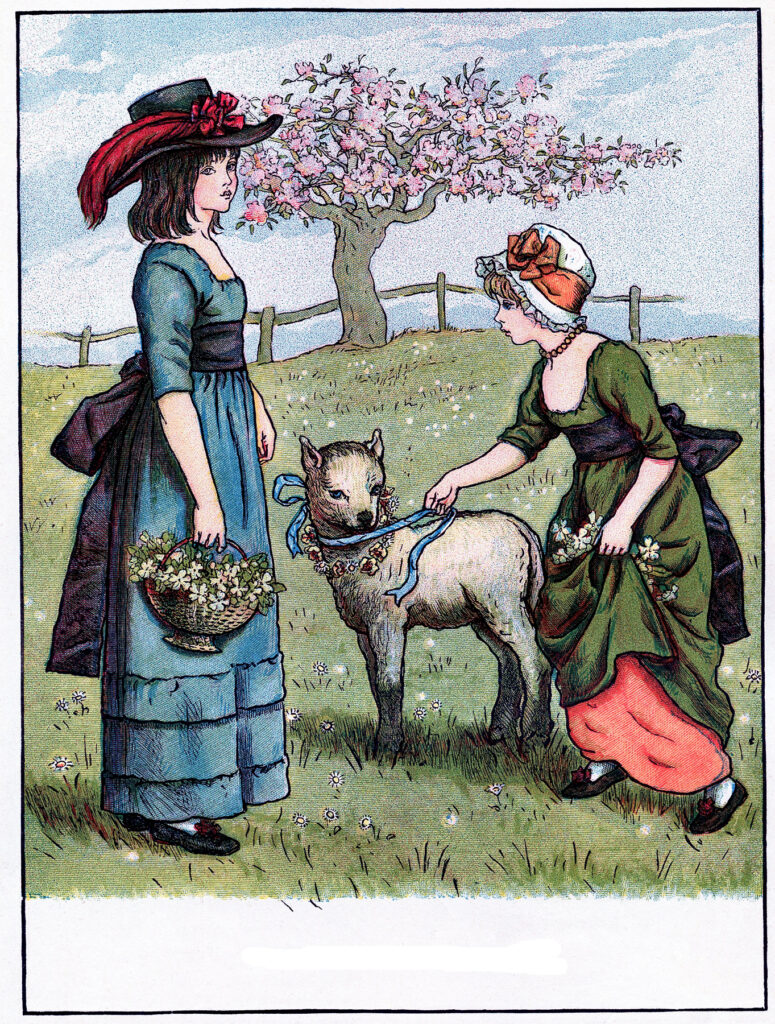 girls lamb illustration