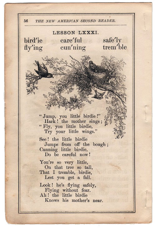 bird poem Ephemera