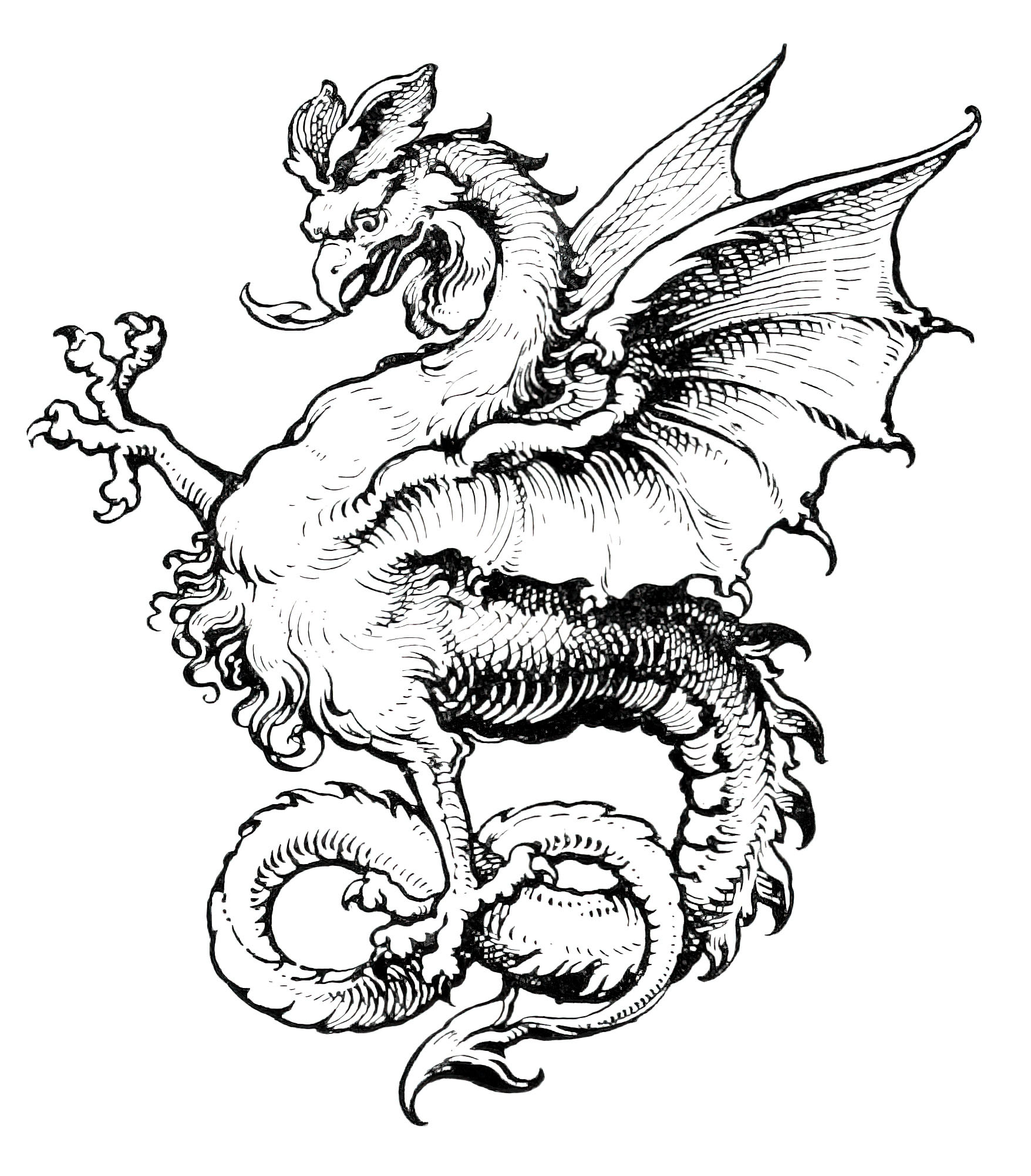 line drawings of dragons