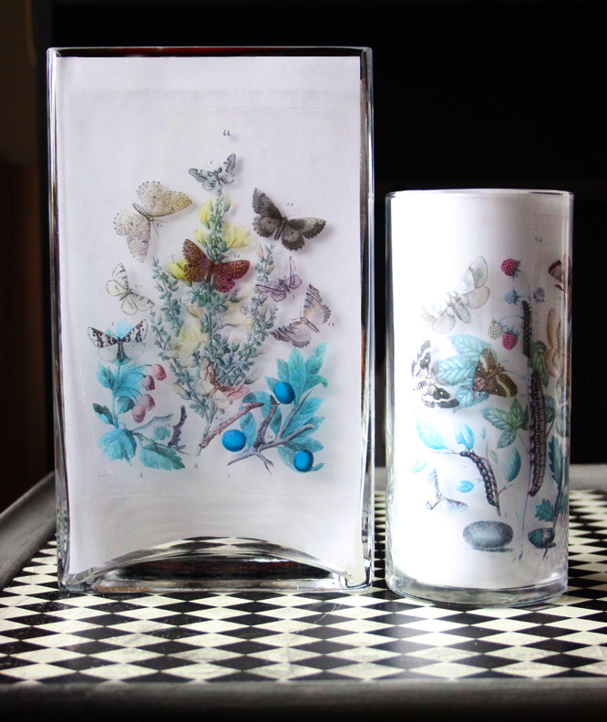 larger butterfly images on glasses