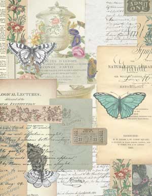 Collage with flowers and butterflies