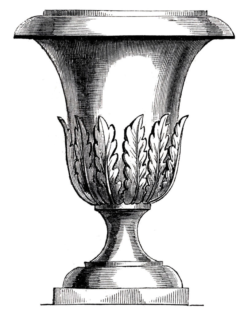 tall urn leaves illustration