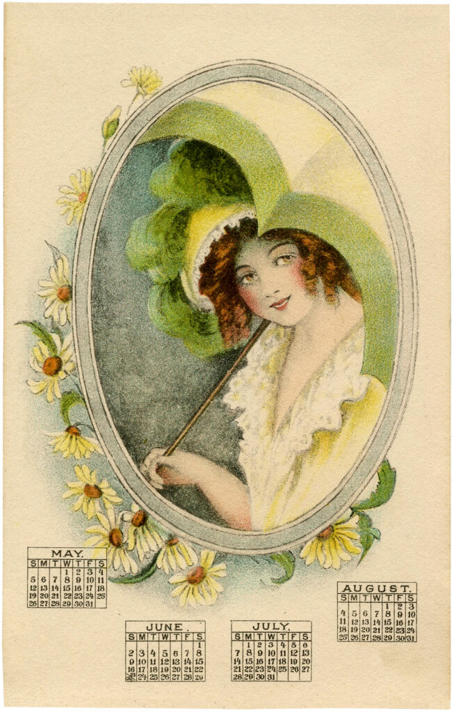 lady parasol daisies image