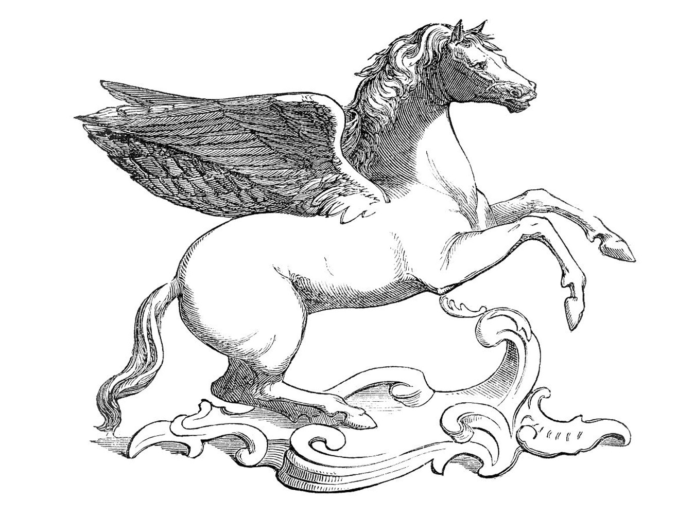 Unicorn Horse Fantasy Tale Flying Horse Stock Vector (Royalty Free)  2020085369 | Shutterstock