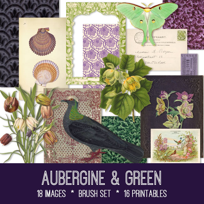 aubergine & green vintage images