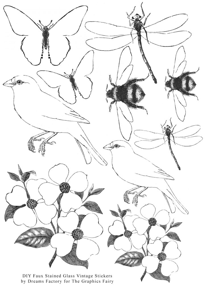 bees and birds line art