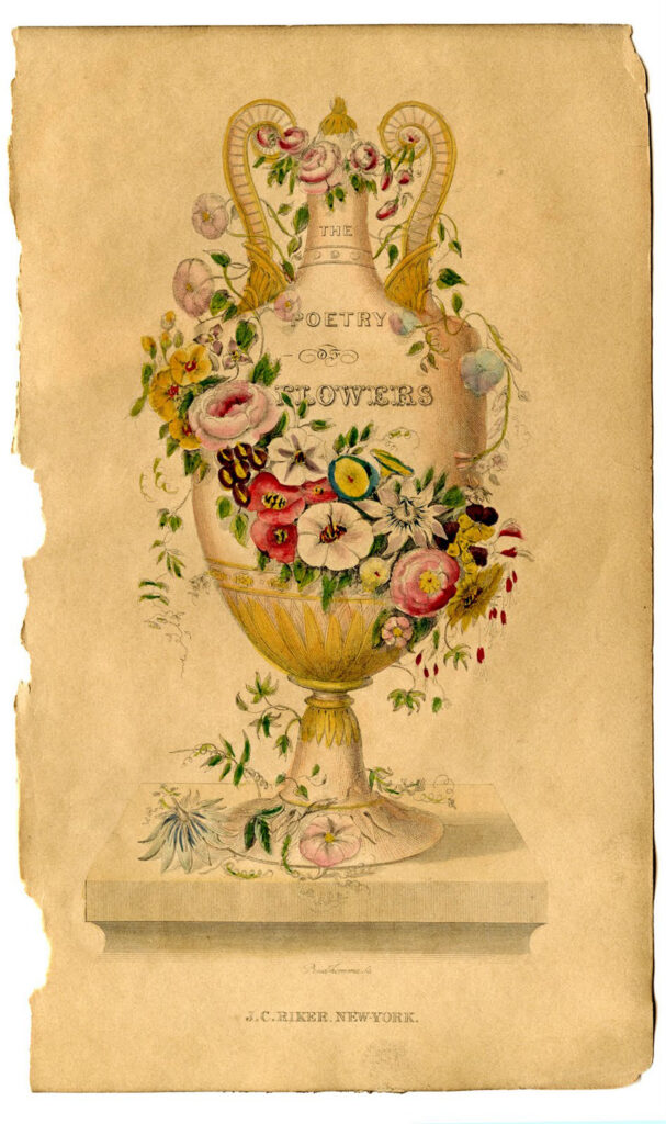 sepia poetry of flowers urn clipart