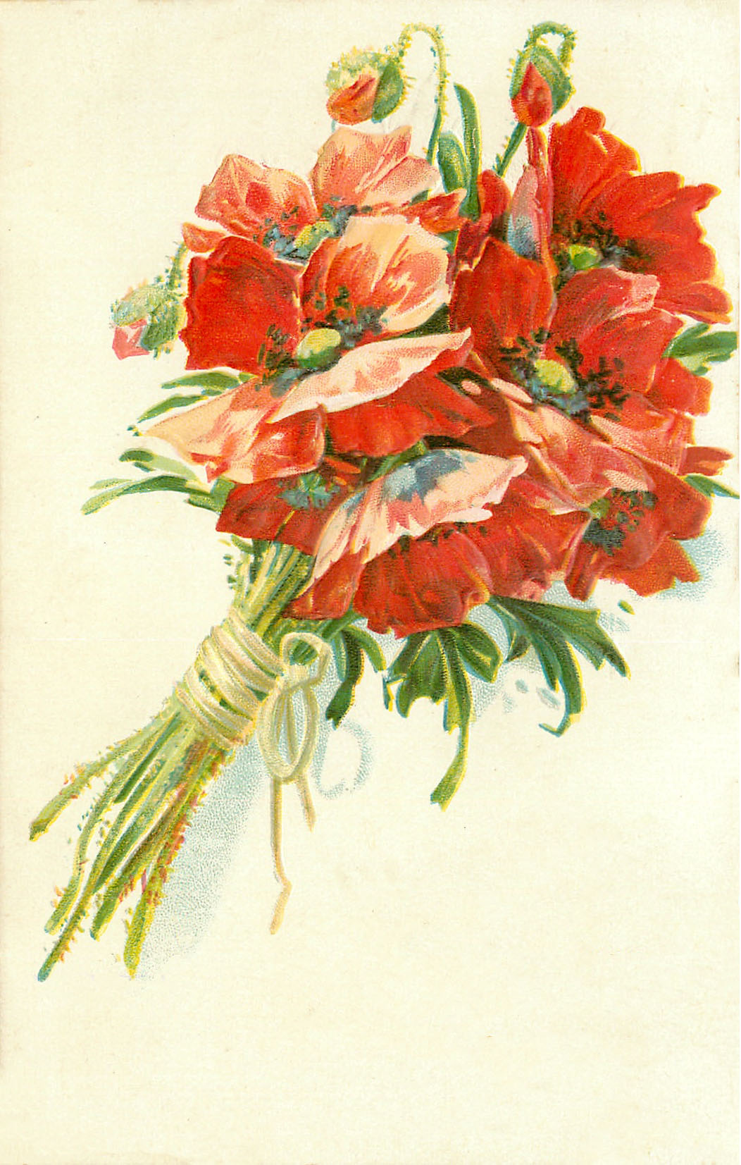 Poppy Bouquet Image