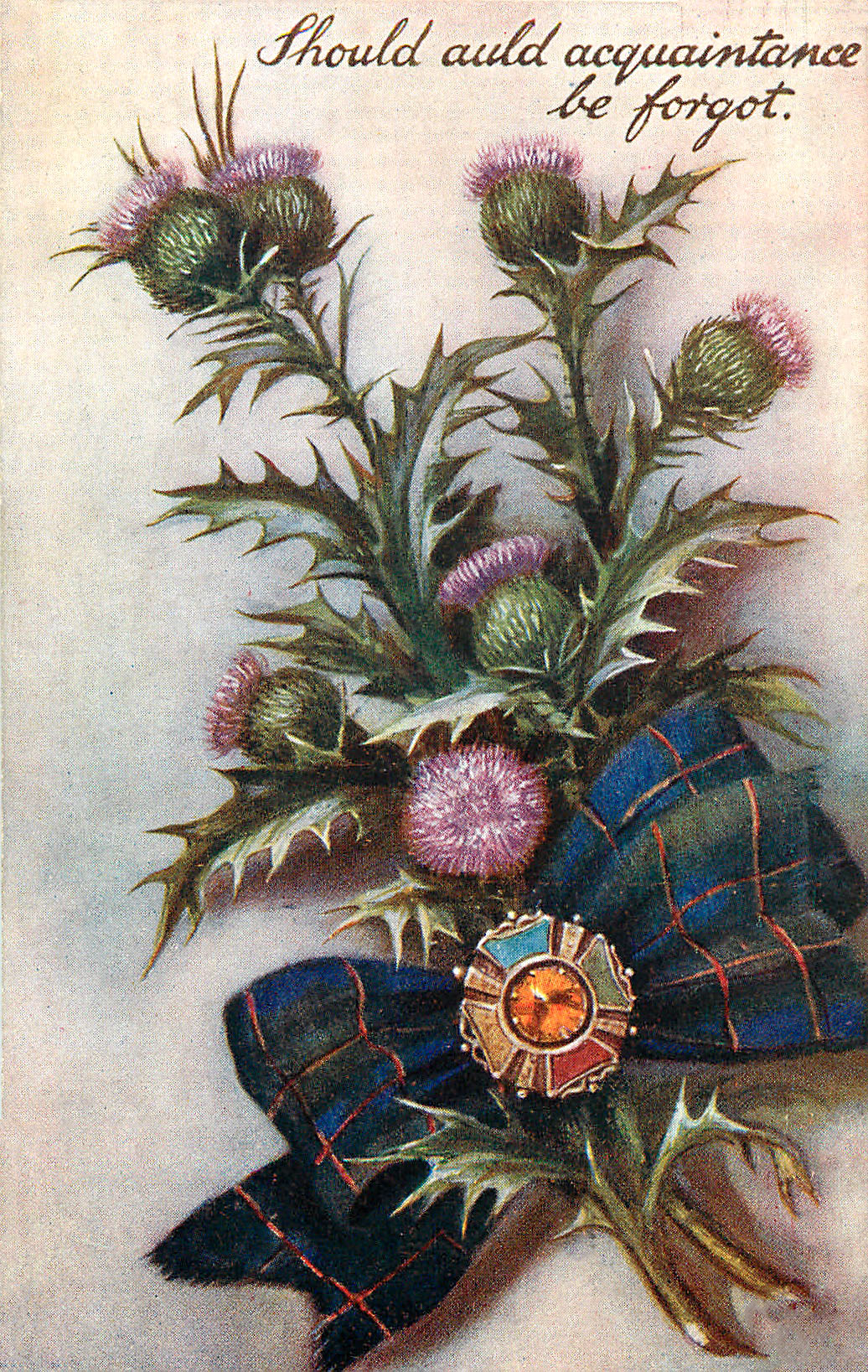 Scottish Flowers