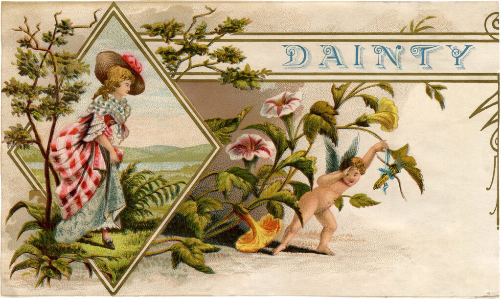 vintage dainty cigar box label lady flowers image