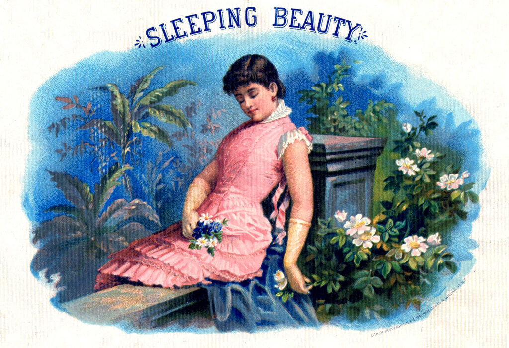 sleeping beauty vintage sleeping woman illustration