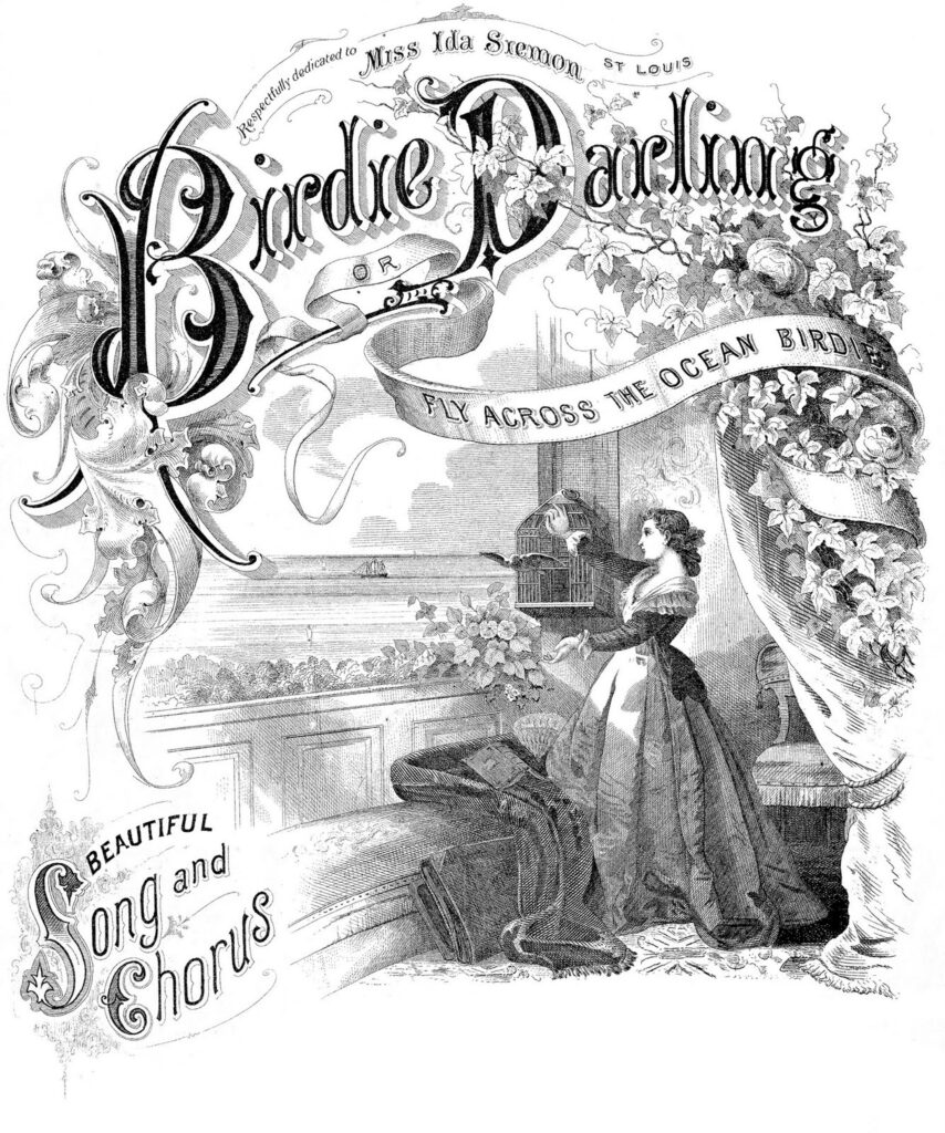 Birdie Darling vintage black white illustration