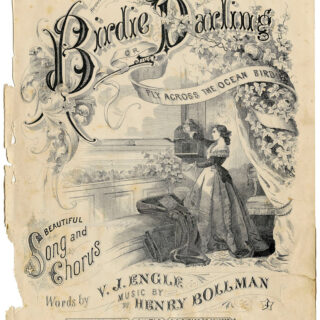 Birdie Darling vintage sheet music cover image