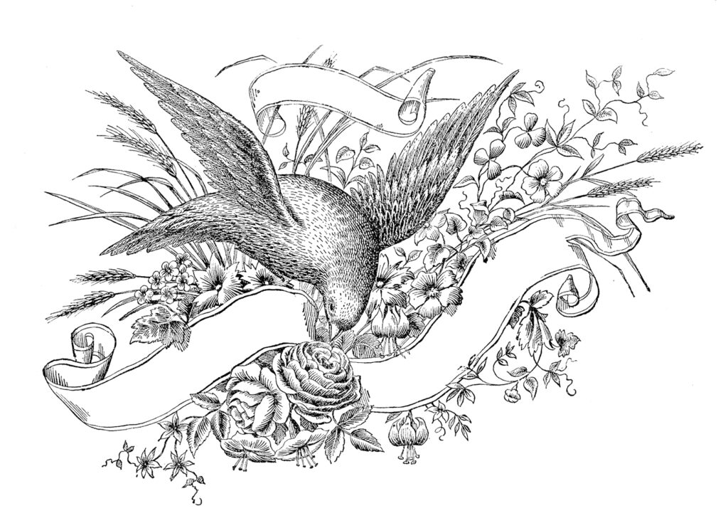 Spencerian bird ribbon label image