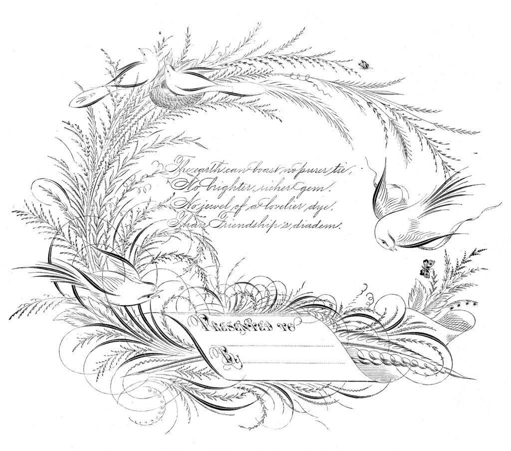 calligraphy Spencerian bird image