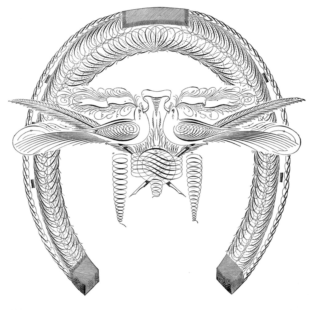 spencerian horseshoe birds image