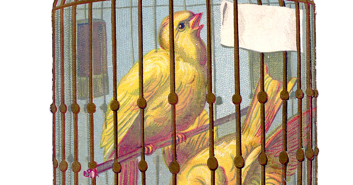 7 Bird Cage Scrap Pictures! - The Graphics Fairy