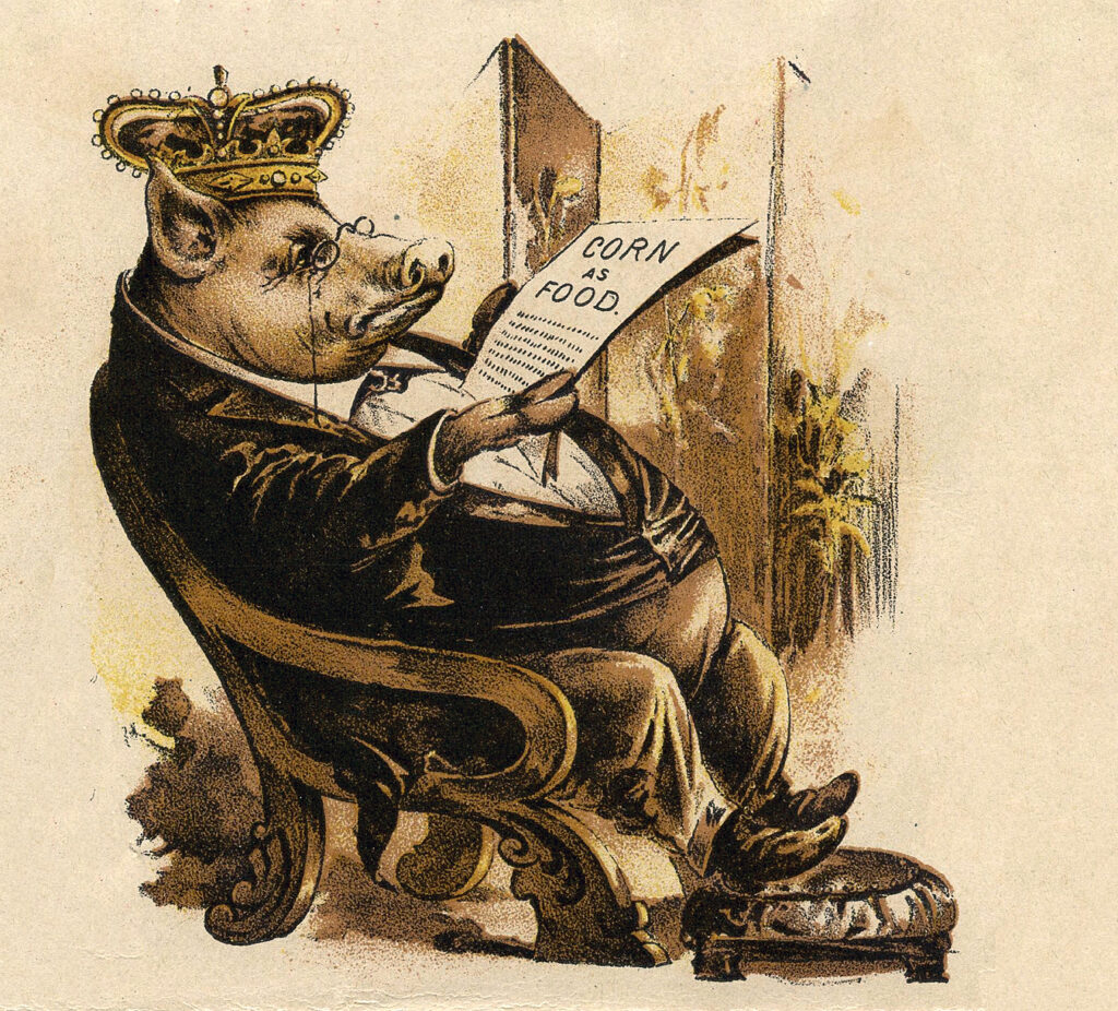 crown pig advertising image