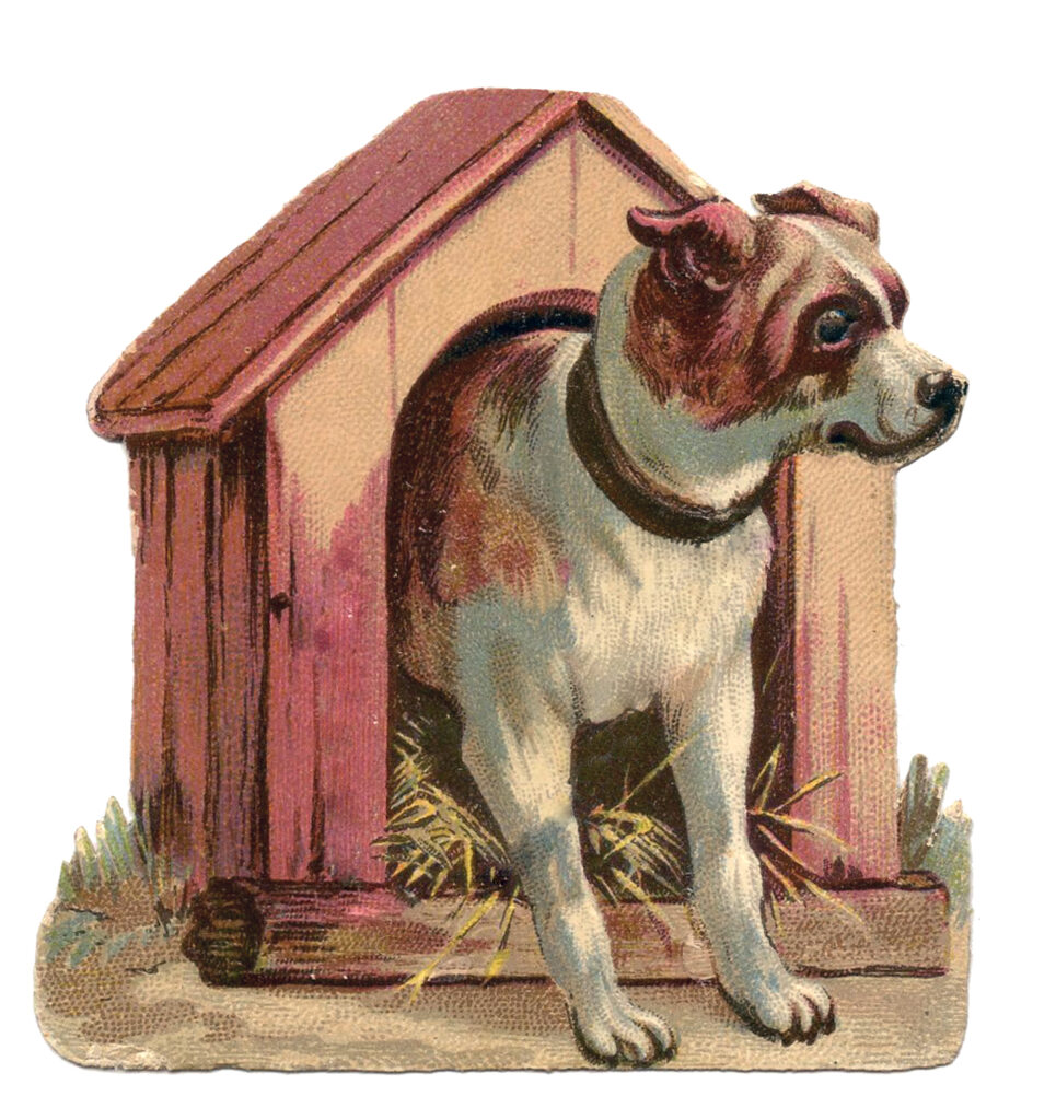 vintage pink dog house illustration