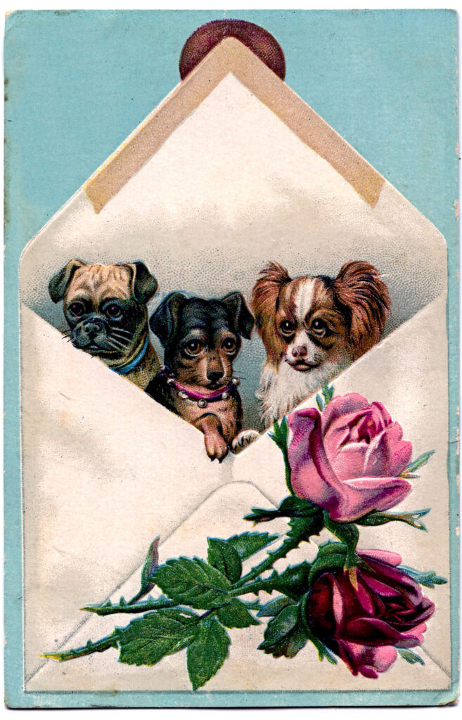 dogs envelope rose vintage illustration