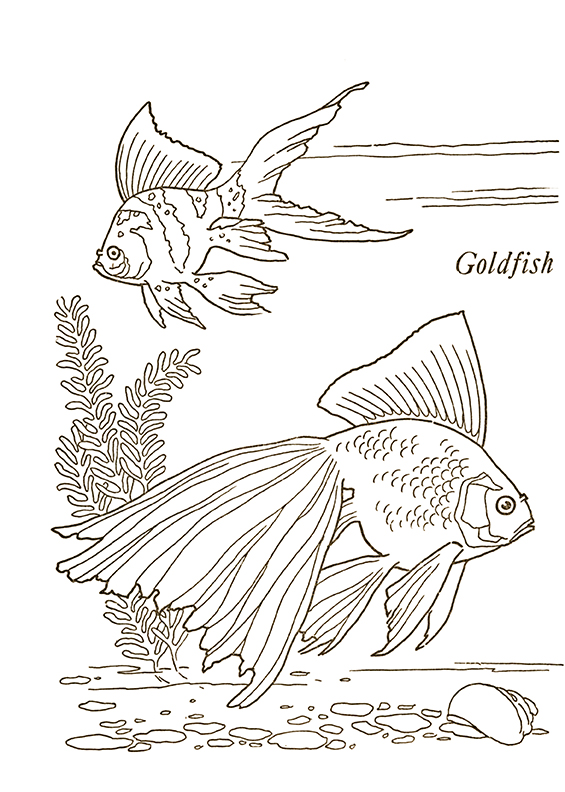 10 Goldfish Coloring Pages Printable for Adults: Unwind and Unleash Your Creativity