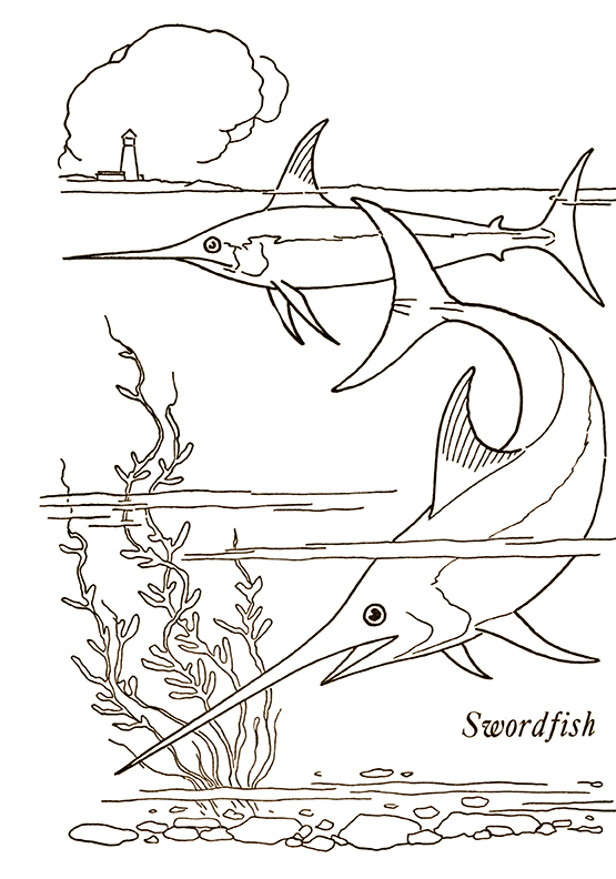 6 ocean coloring pages printable the graphics fairy