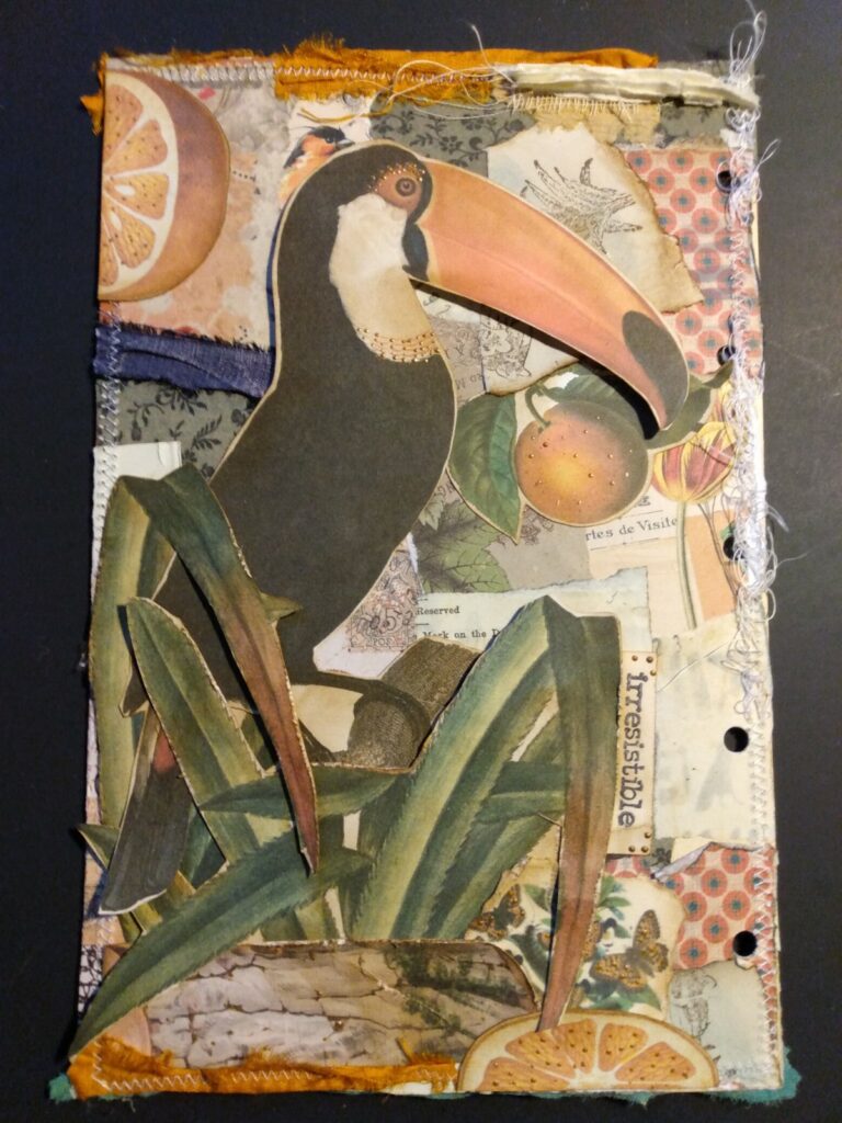 Toucan vintage ephemera junk journal page