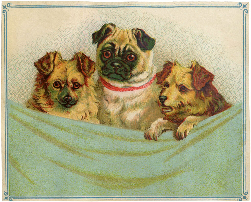 vintage puppies blanket clipart