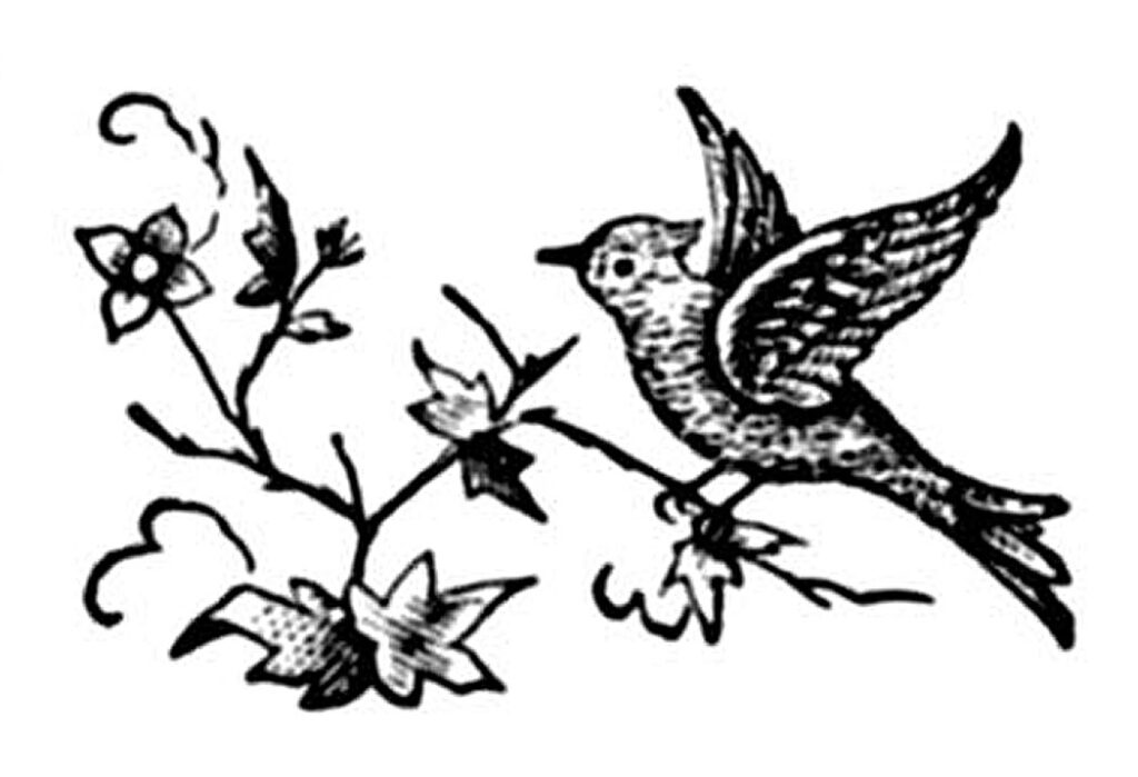 bird printer ornament illustration