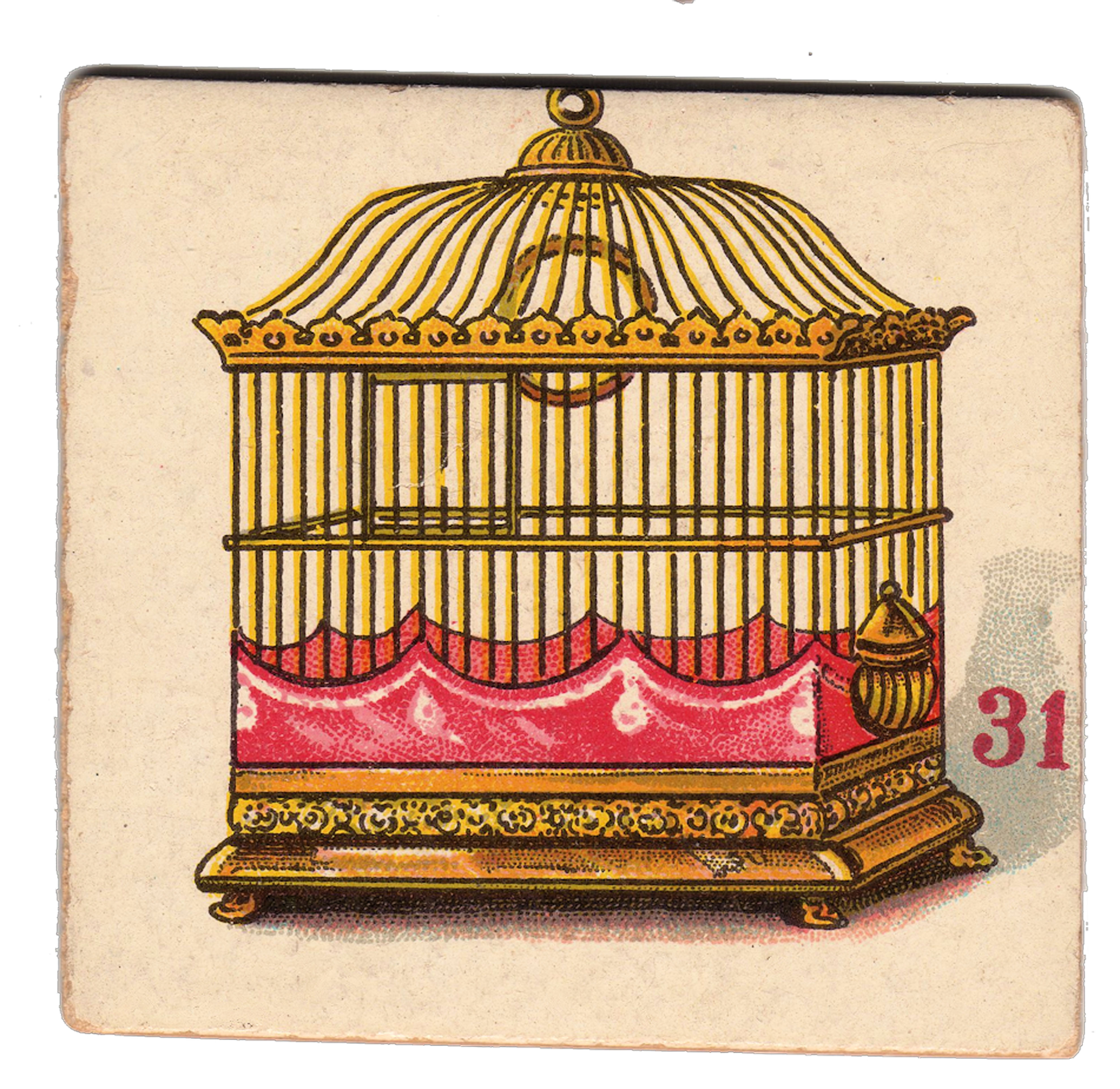 simple birdcage drawing