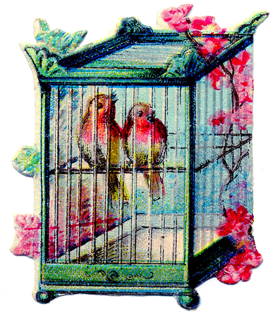 green birdcage pink birds vintage clipart