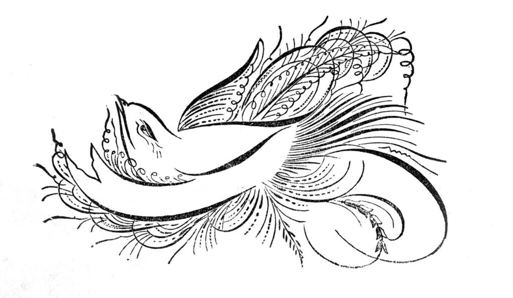 Spencerian bird nest image