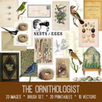 vintage the ornithologist ephemera bundle
