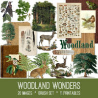vintage woodland wonders ephemera bundle