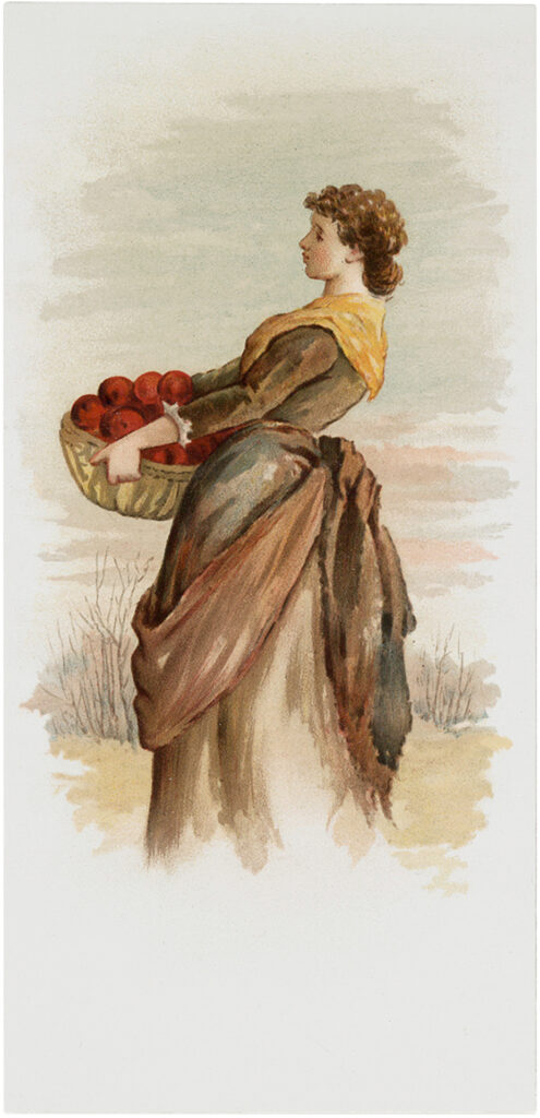 apple harvest lady illustration