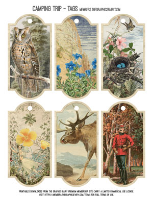 Nature collage with animals and ranger