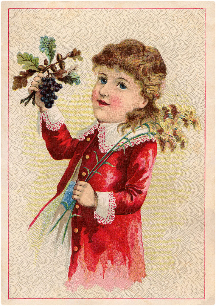 boy grape harvest illustration